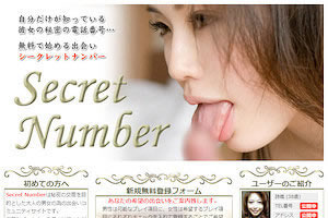 Secret Number